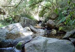 Our stream - hiking