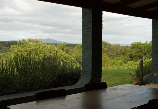 Forest View verandah