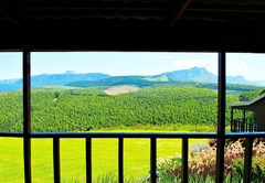 Forest View Cabins