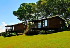 Forest View Cabins