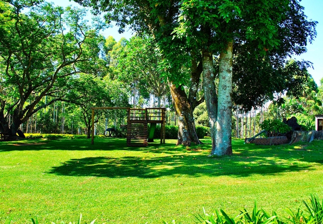 Forest View Cabins