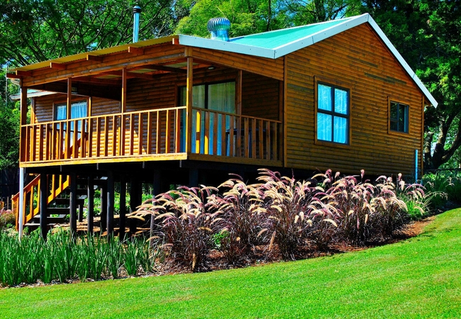 Forest View Cabins