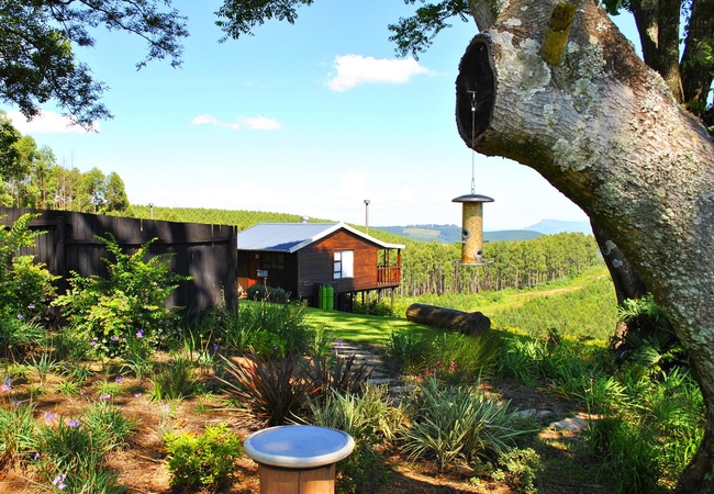 Forest View Cabins