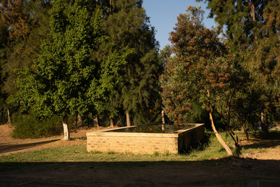The Fort