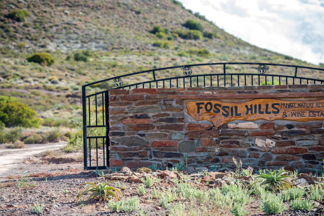 Fossil Hills Farm Cottages