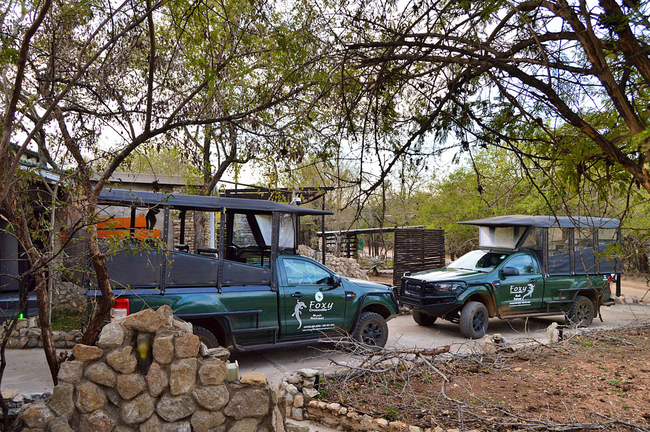 Foxy Crocodile Bush Retreat