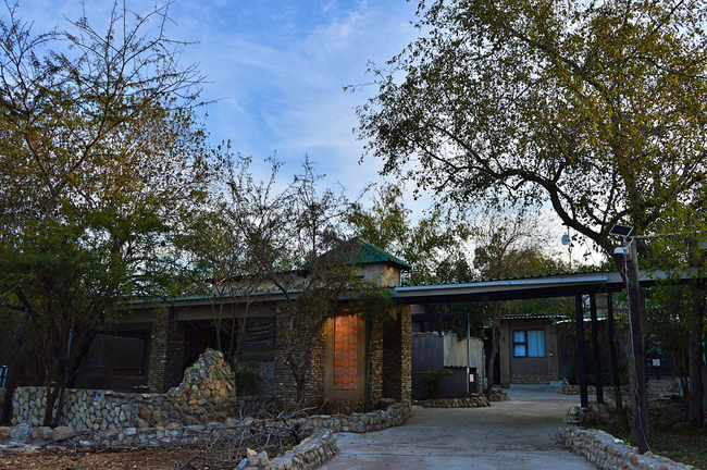 Foxy Crocodile Bush Retreat