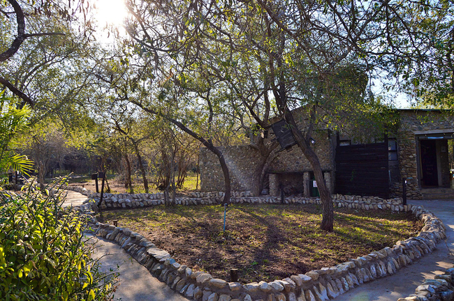 Foxy Crocodile Bush Retreat
