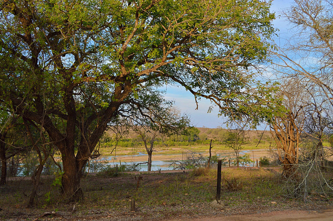 Foxy Crocodile Bush Retreat