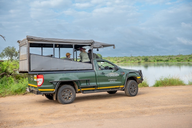 Kruger Safari