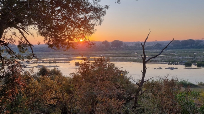 Foxy Crocodile Bush Lodge & Kruger Safaris