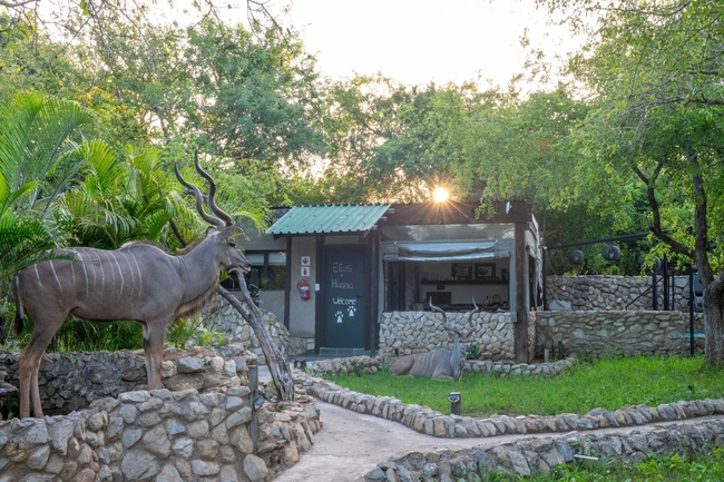 Foxy Crocodile Bush Lodge & Kruger Safaris