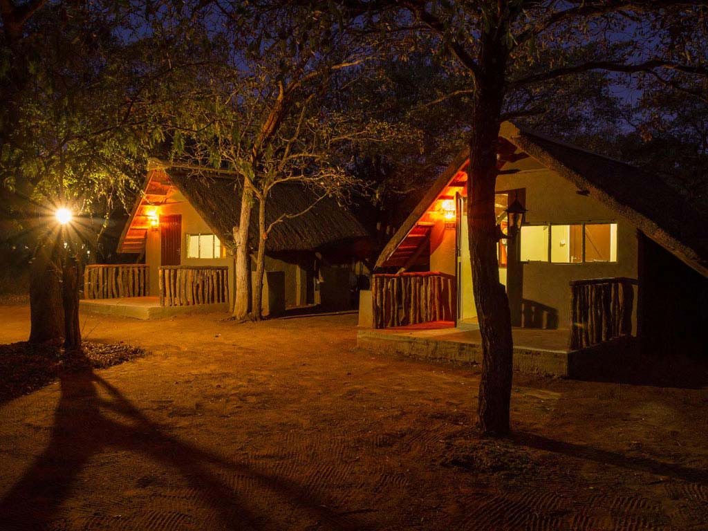 Wild Ride Safaris and Bush Camp