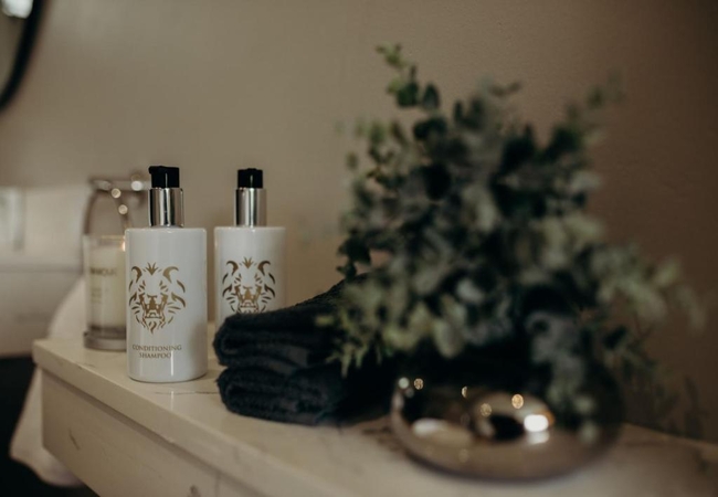 Luxury King/Twin Suites