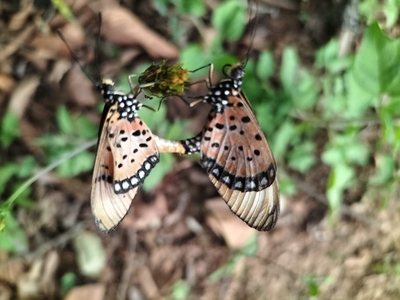 Exclusive Use Holiday Cottage