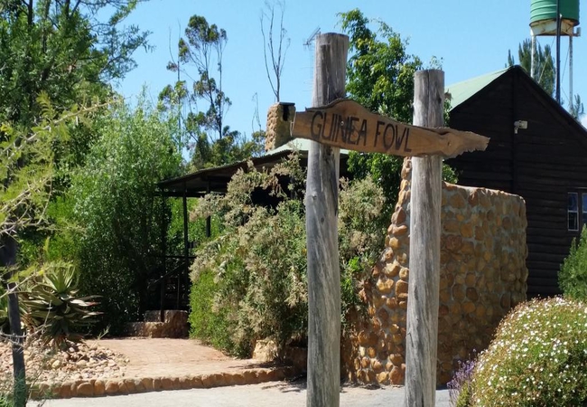 Guinea Fowl Garden Cottage