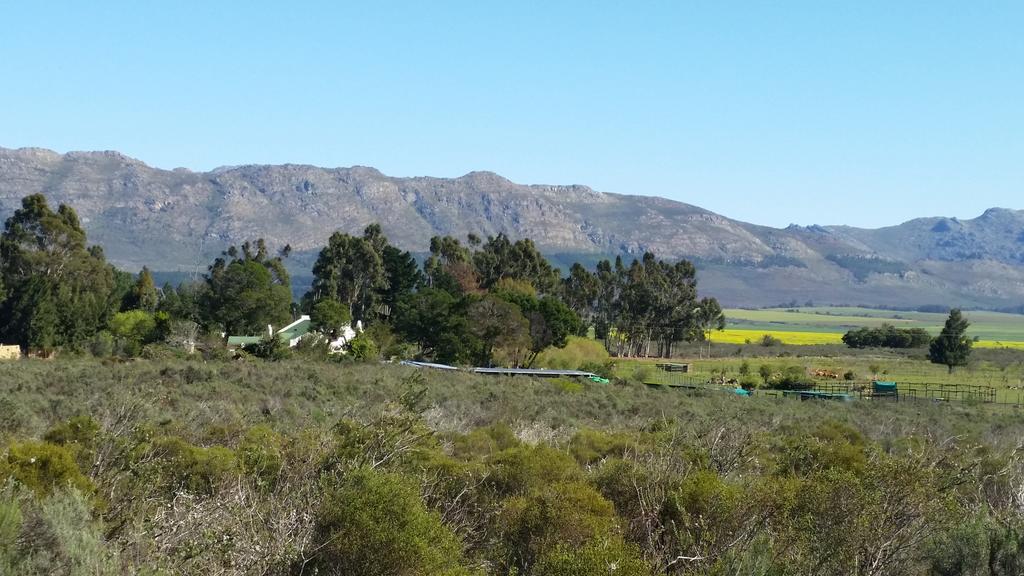 Fynbos Guest Farm