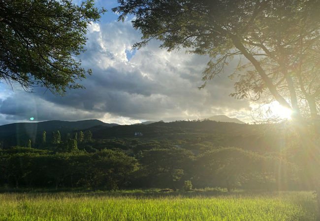 Gaia\'s Grace Farm Cottage