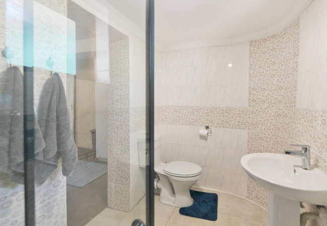 Gans te Ver Suiderstrand