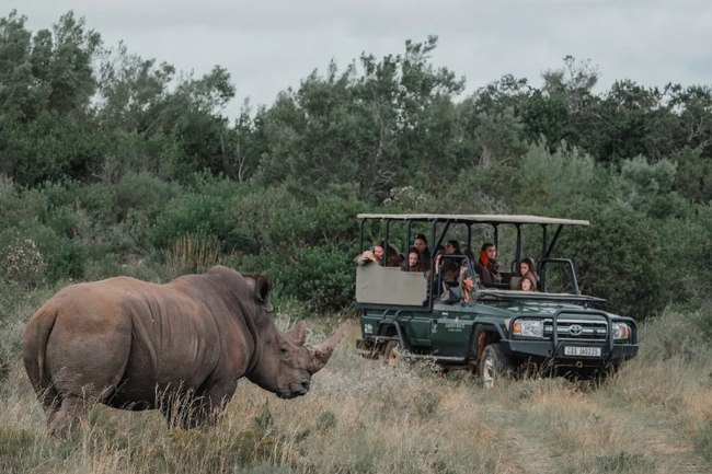 Garden Route Game Lodge