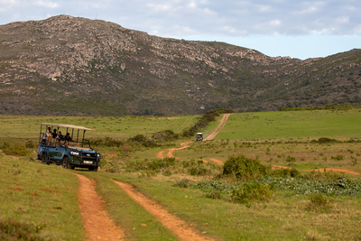 Garden Route Game Lodge