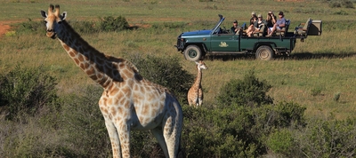 Garden Route Game Lodge