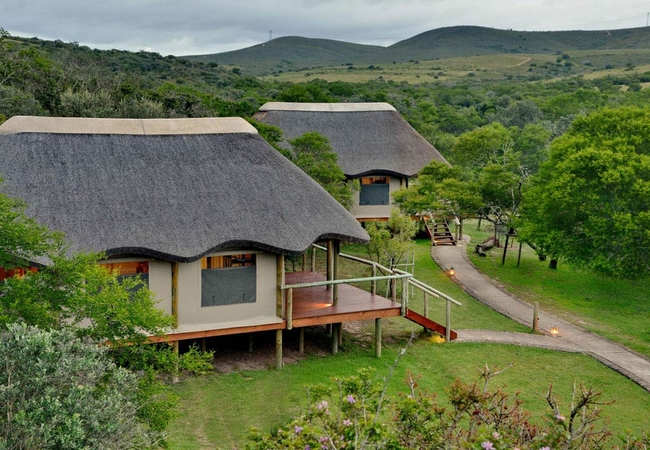 Garden Route Safari Camp