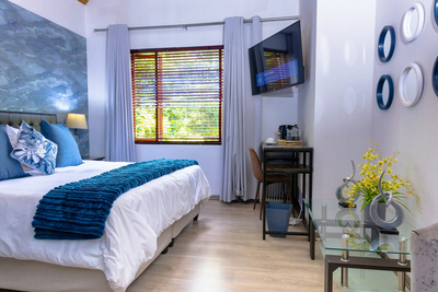 Deluxe Room with King Bed (or Twin)