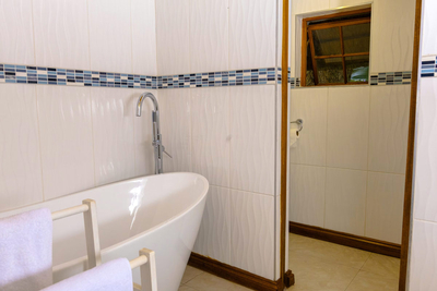 Deluxe King Bed or Twin Bath