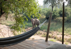 Garonga Safari Camp