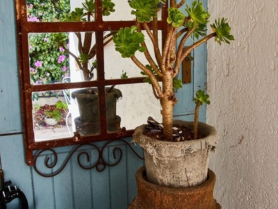 Classic Suite Garden View