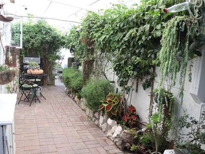 Superior Suite with Garden View