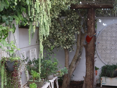 Superior Suite with Garden View