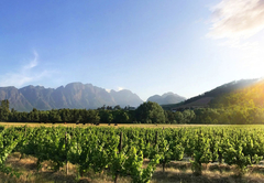 Gite Studio Franschhoek