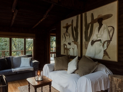 Wood Cabin (With Hot Tub)