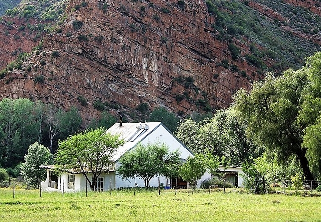 Red Cliffs Farmhouse