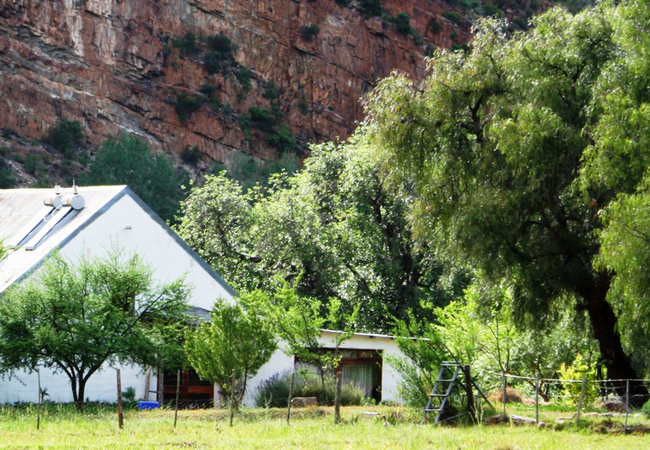 Red Cliffs Farmhouse