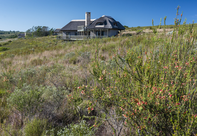 Fynbos villa