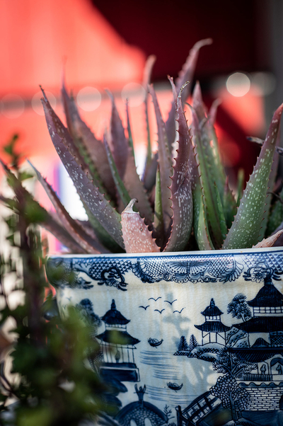 Exclusive Use Holiday Cottage