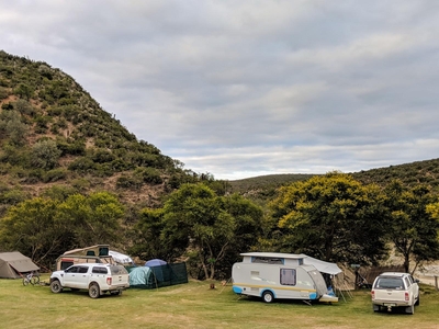 Eco-Camping Site