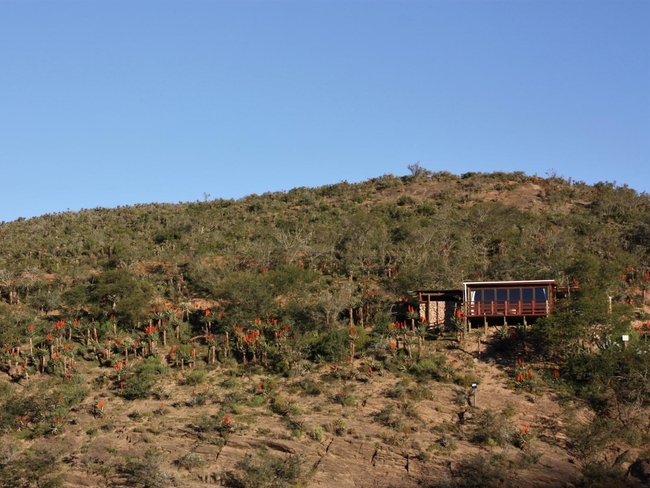 Valley Cabin