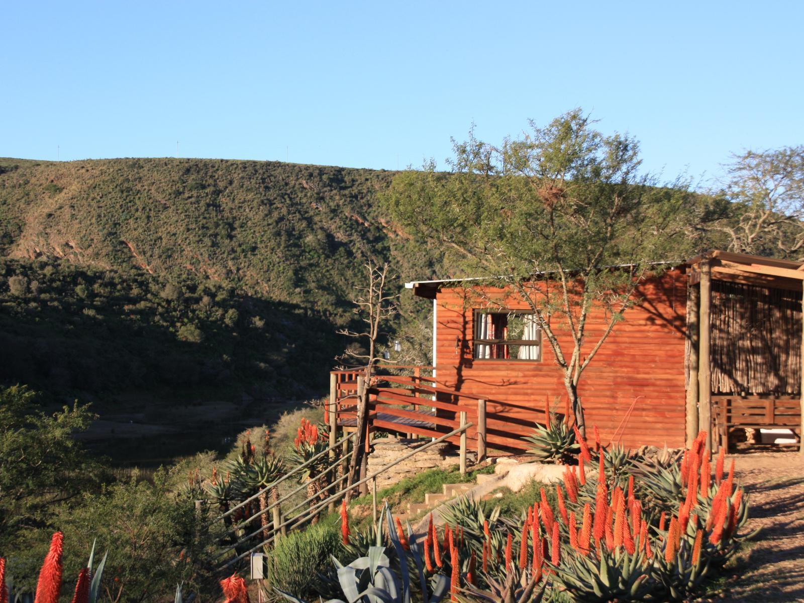 Valley Cabin