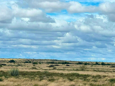 The Grange Guest Farm