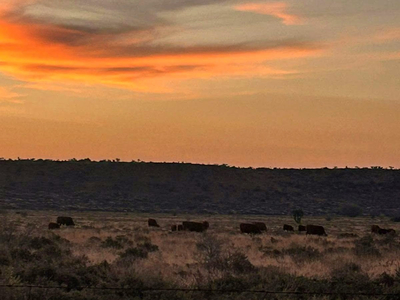 The Grange Guest Farm