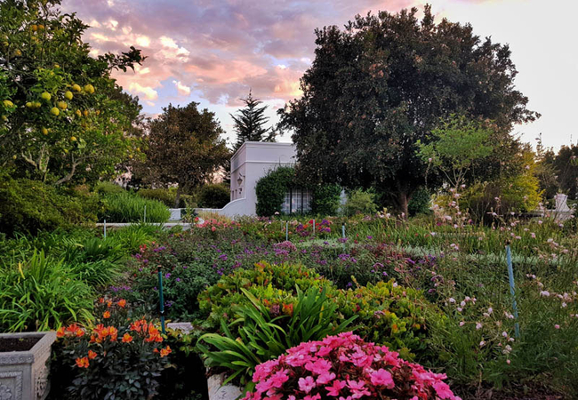 Cape Dutch Cottage