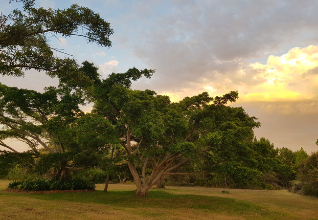 Greenhill Manor House