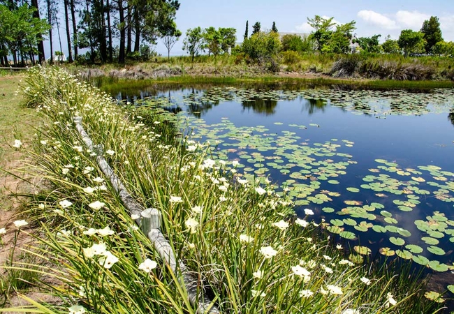 Greenhill Manor House
