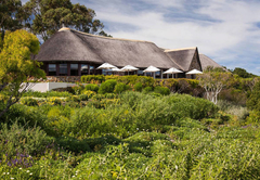 Grootbos Private Nature Reserve