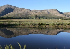 Grootnek Guest Farm