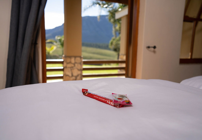 Grysbok Chalet at Oudebosch